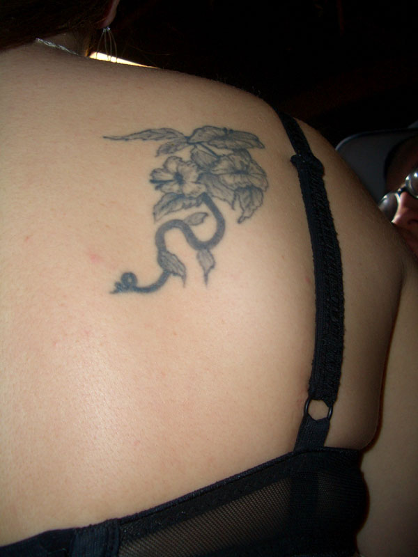 CIMG1555