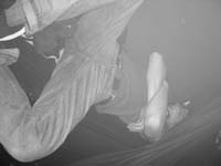 CIMG2333